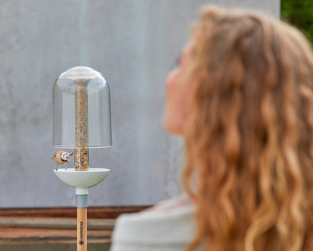 Doorzichtige vogelvoederbak, bestand tegen de regen.