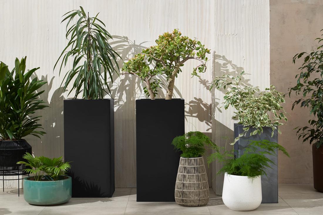 Ga de hoogte in met een set van twee verzinkte plantenbakken. Nog leuker: wissel deze hoogte af met nog twee plantenbakken die laag zijn. 