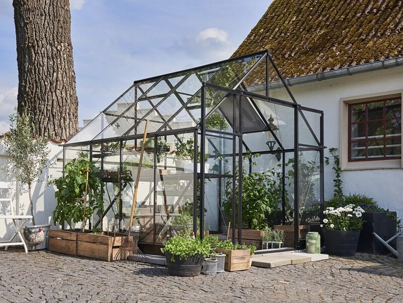 In de kas kun je natuurlijk potjes neerzetten op de grond, maar een aardbeienplant ophangen kan natuurlijk ook. 