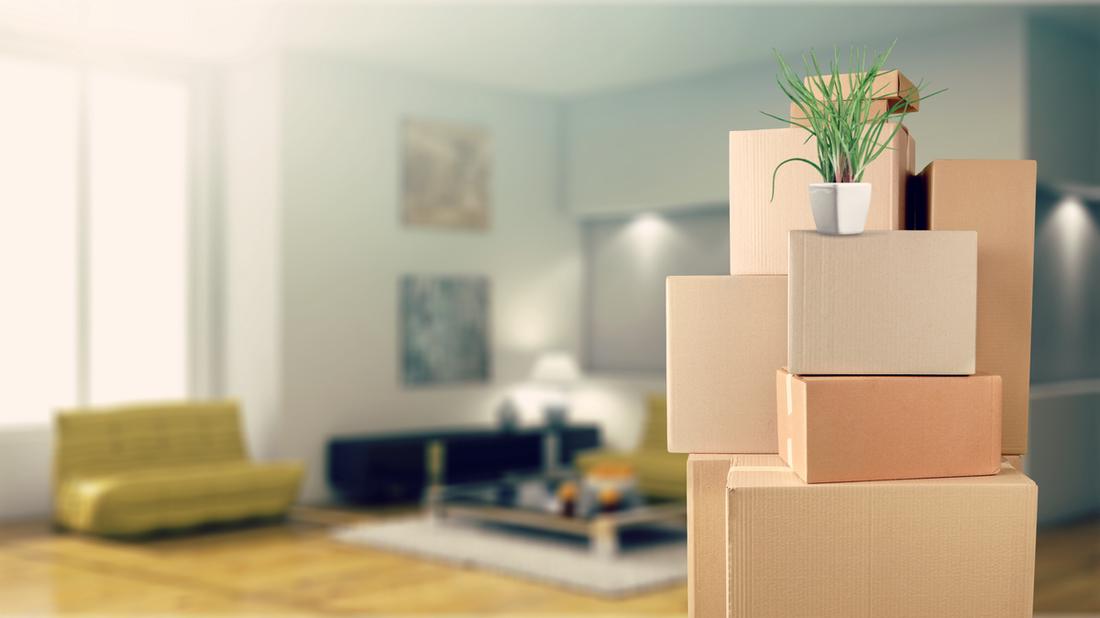 Een verhuisbedrijf, zoals verhuisbedrijf Breda, helpt je met het verhuizen van grote meubels, maar ook met inpakken en uitpakken. 