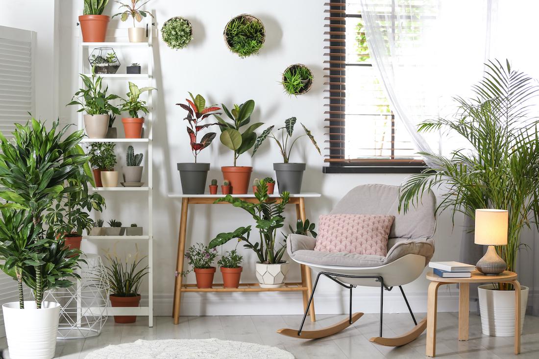 woonhome-planten-groen-natuur-in-huis-interieur-inspiratie-1