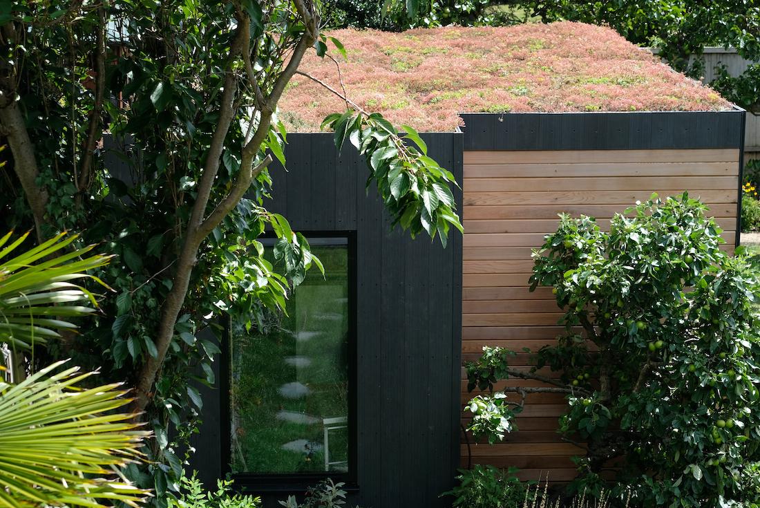 woonhome-schuur-in-tuin-sedumdak-sedum-groen-dak-1