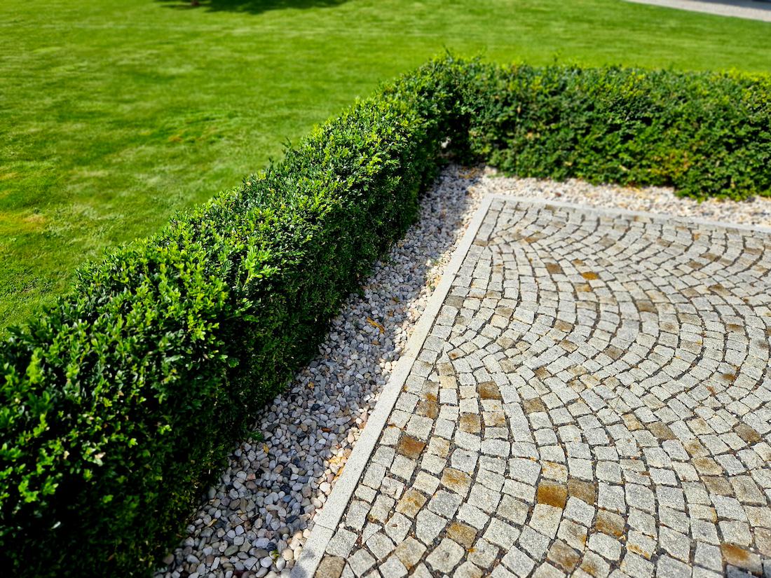 woonhome-lage-kan-en-klaar-haag-in-de-tuin-1.jpg