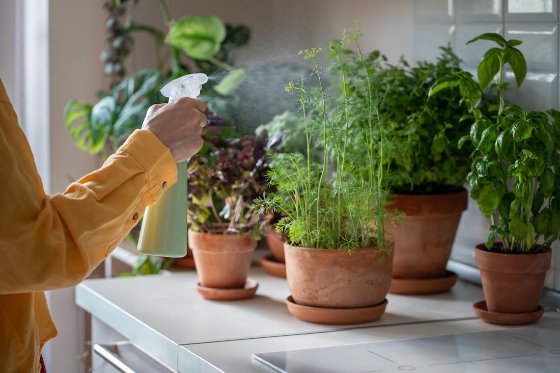 woonhome-planten-kruiden-plantjes-keuken-1