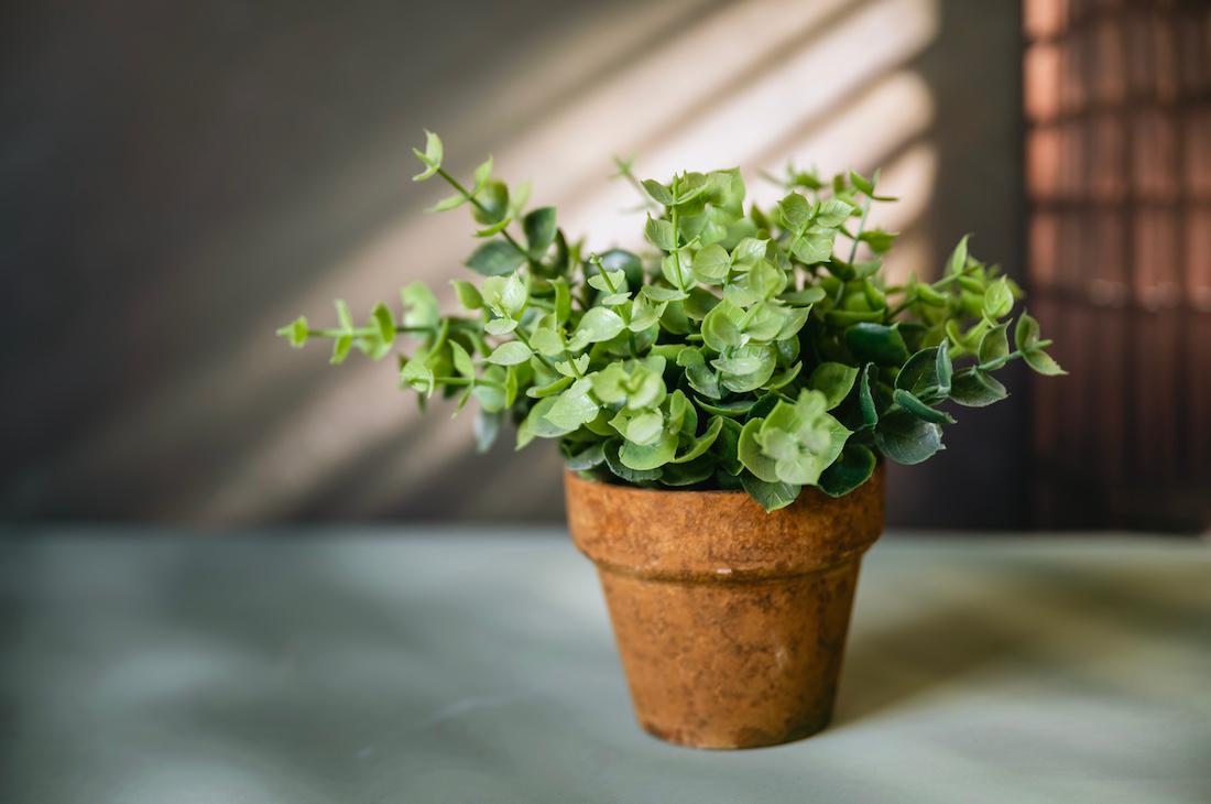 woonhome-kunstplant-nep-realistische-nepplanten-1