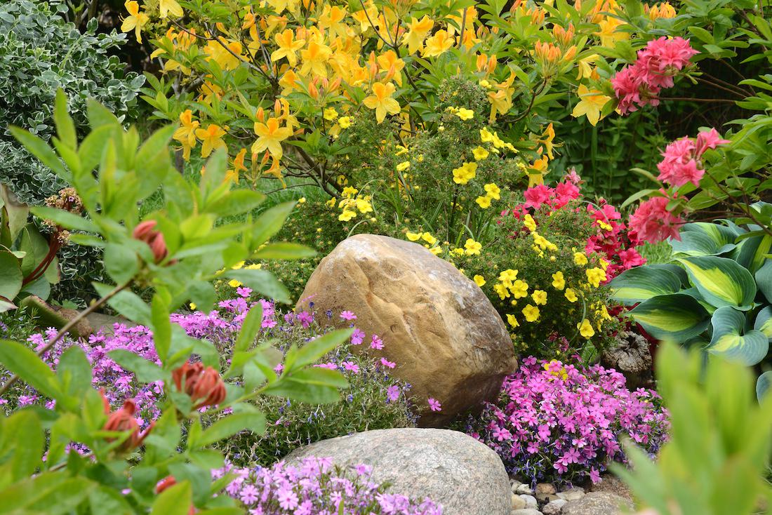 woonhome-natuurlijke-tuin-wilde-bloemen-zwerfkei-kopen-1