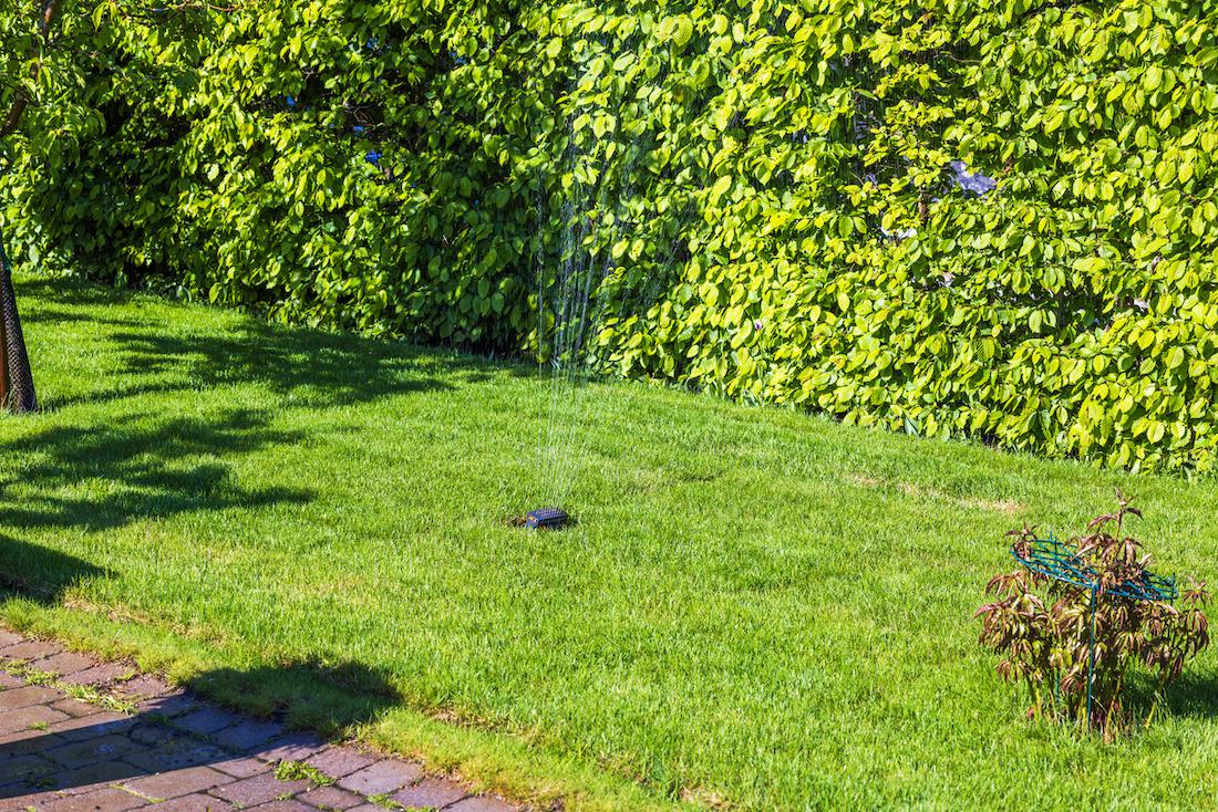 woonhome-tuin-gras-besproeien-gazon-groene-tuin-1
