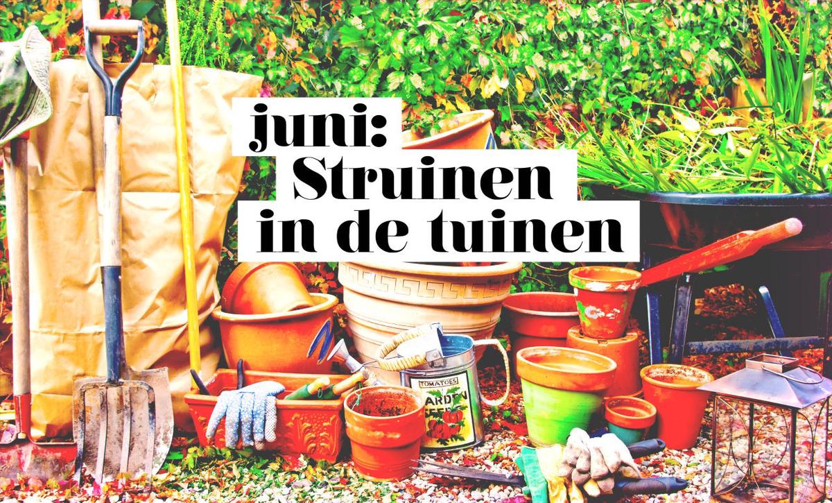 Maandspecial juni: Struinen in de tuinen