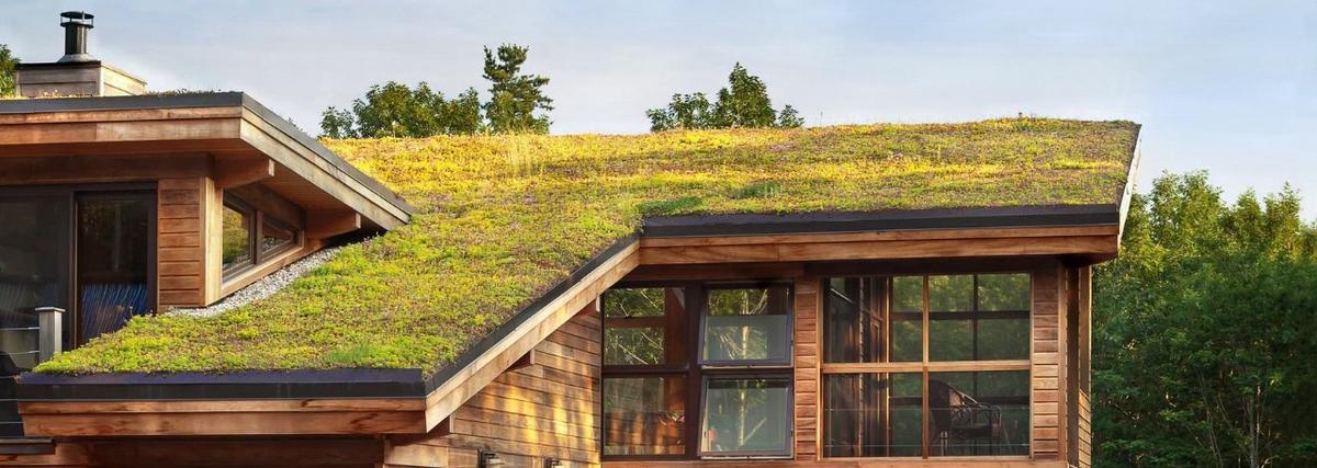 De voordelen van een groendak en groendak inspiratie (trend 2020)