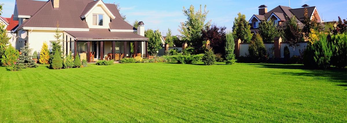 Vraag en antwoord | Het leggen van graszoden in de tuin