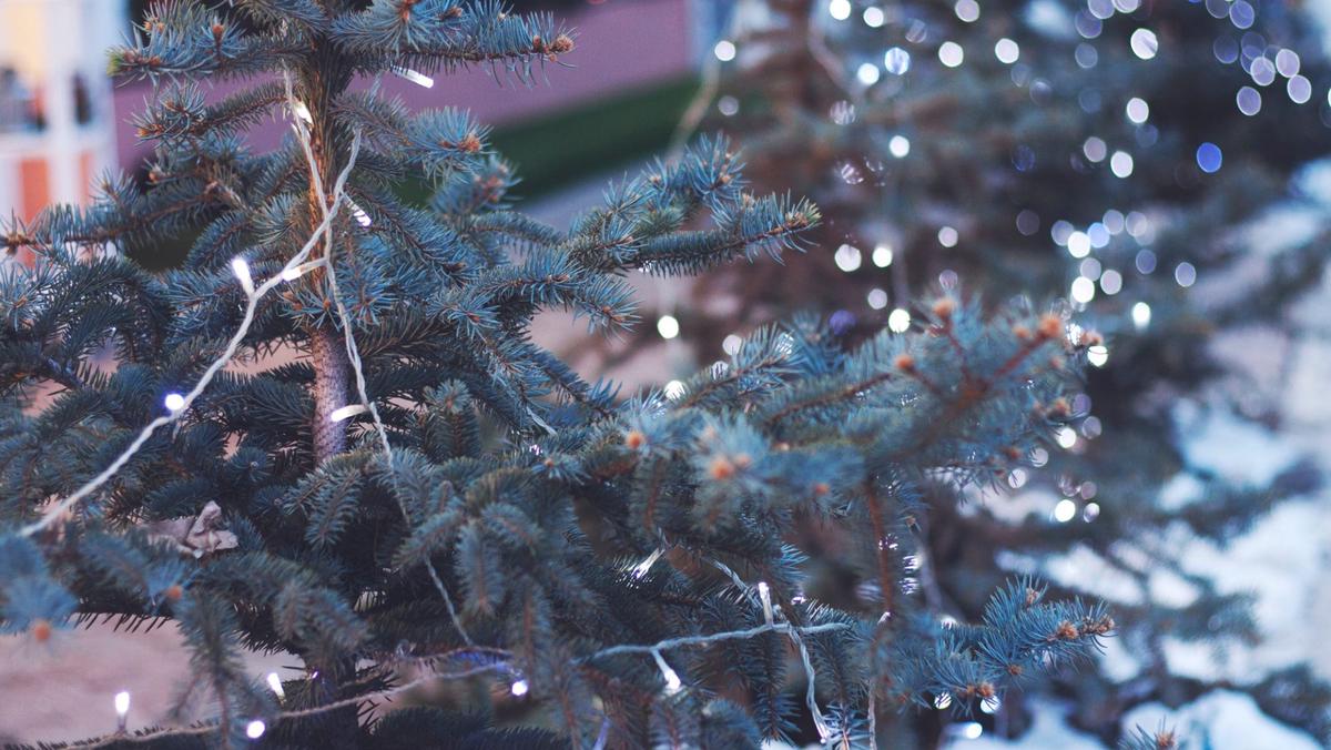 Kerstverlichting 2017: waar moeten we rekening mee houden?