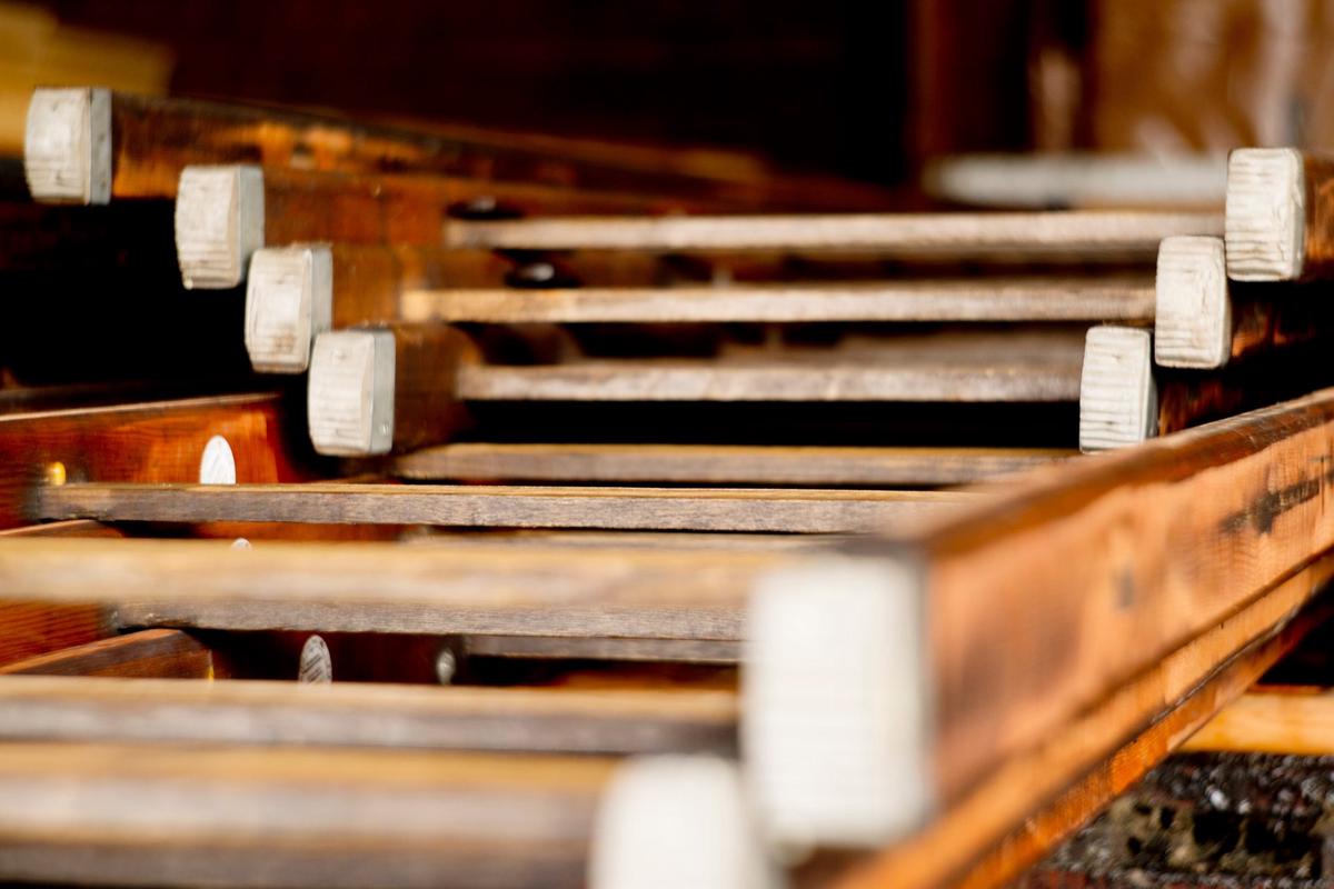 Een online shop in houten ladders, dat snijdt wél hout!