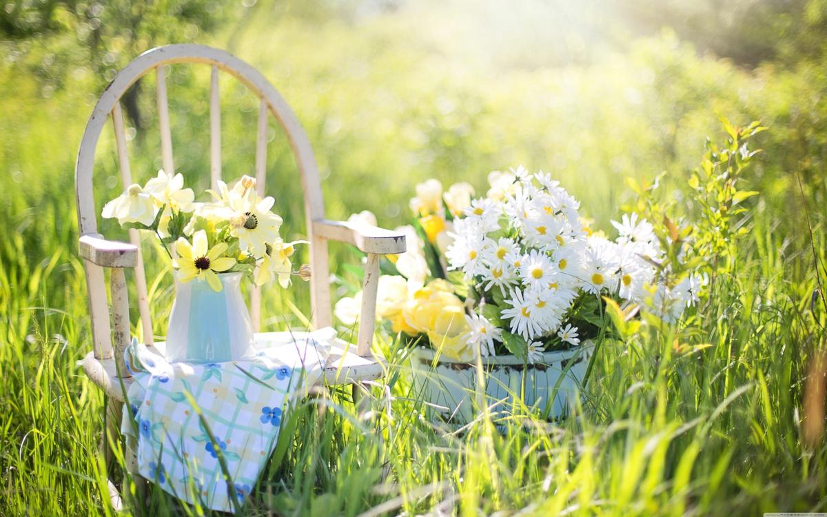 4 zomerse tips voor je tuin