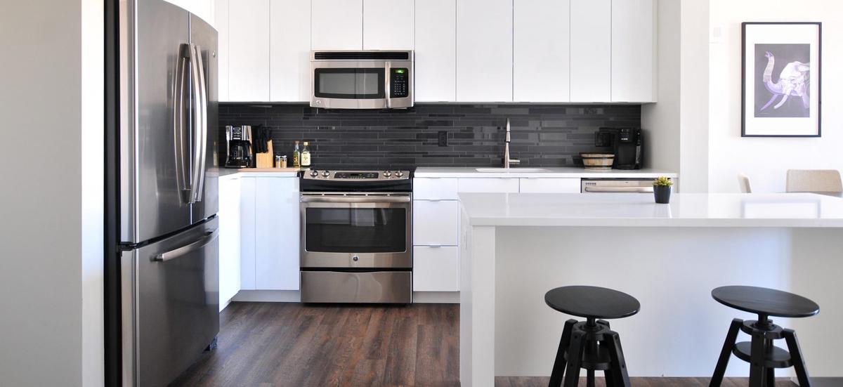 Wat te doen als je last van ongedierte in je woning hebt?