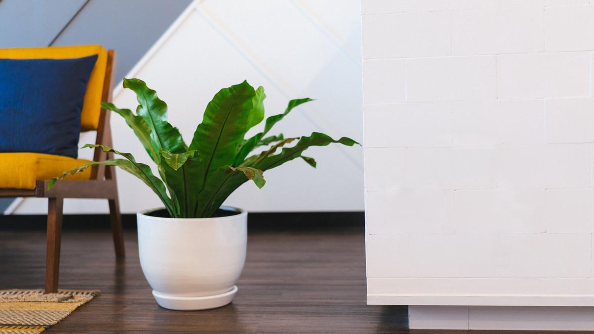 6 tips om je huis mooi &#038; netjes te houden