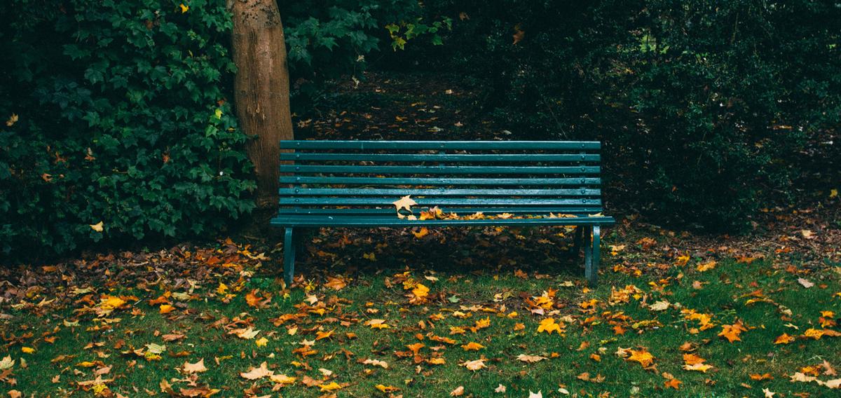 Geniet van de tuin in de herfst!