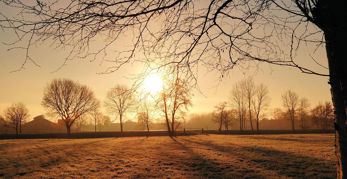 Hoe belangrijk is de plaatsing van een veranda eigenlijk?