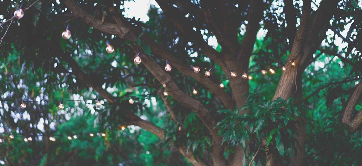 5 handige tips om elektriciteit in je tuin aan te leggen