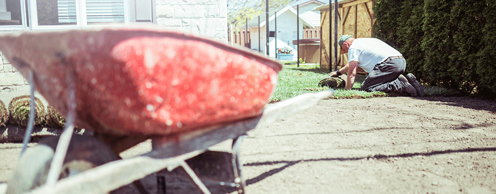 Tuin aanpakken? 4x tuinrenovatie tips