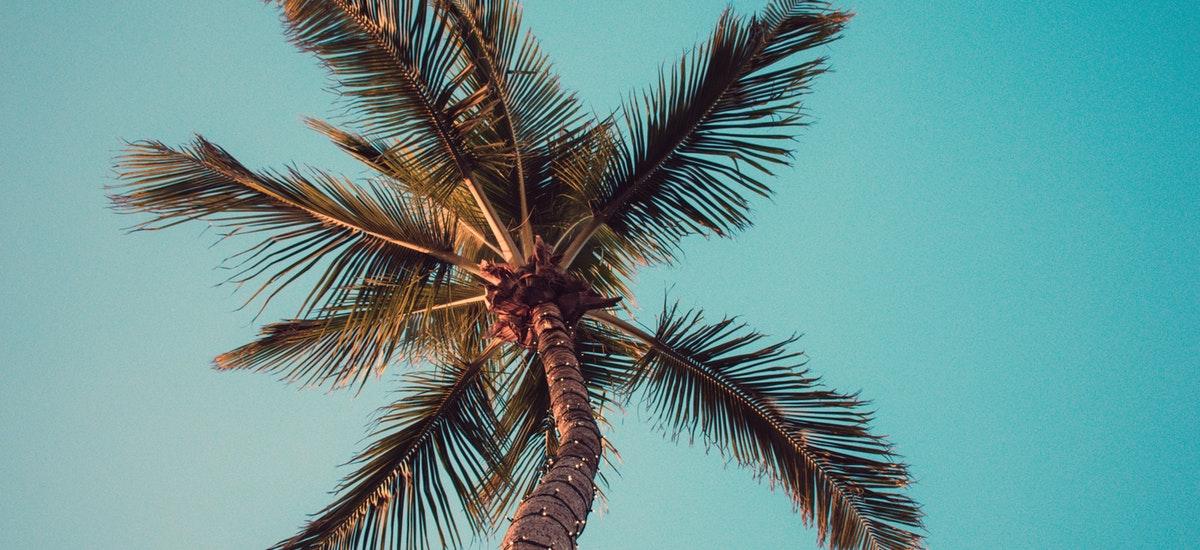 Zo zorg je voor het luxe vakantiegevoel in de tuin