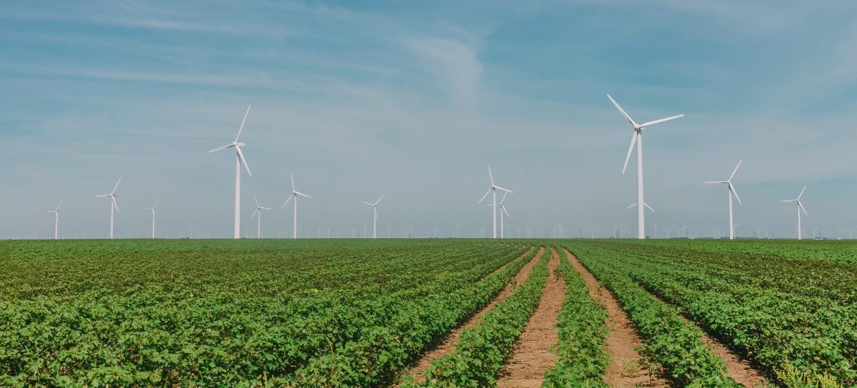 Energie vergelijken: op zoek naar de goedkoopste energieleverancier
