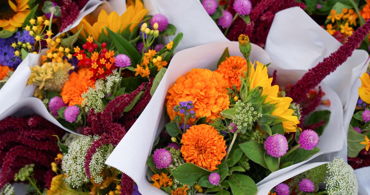 Tips voor het perfecte boeket bloemen per seizoen
