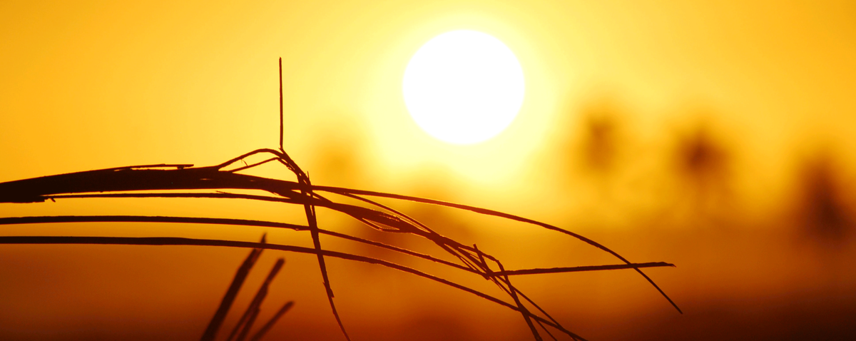 Veel buiten in de zomer? Denk ook aan je huis!