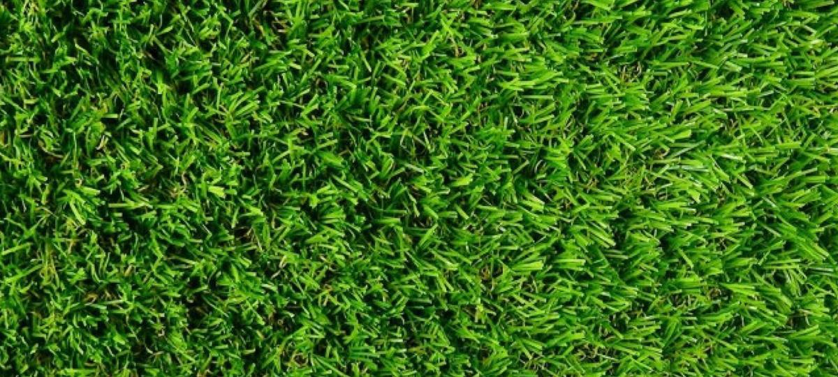 Dit zijn de voordelen van kunstgras in je tuin of op je balkon