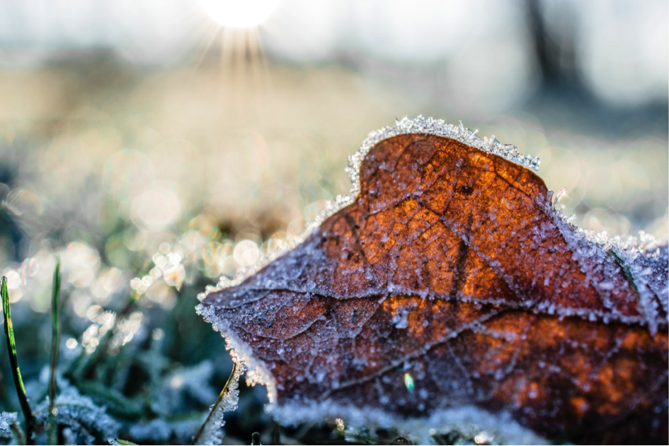 5 tips voor een sfeervolle en mooie wintertuin