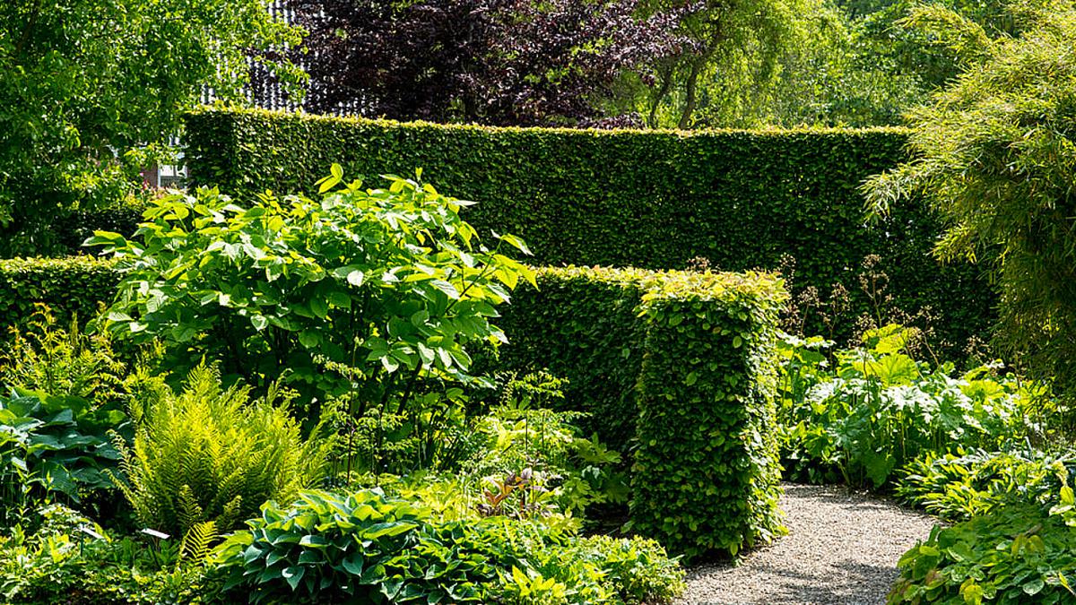 Geen groene vingers en toch een mooie tuin? Zo doe je dat!