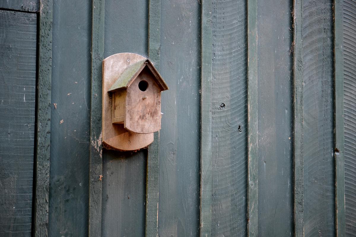 6 leuke manieren om hout in de tuin te verwerken