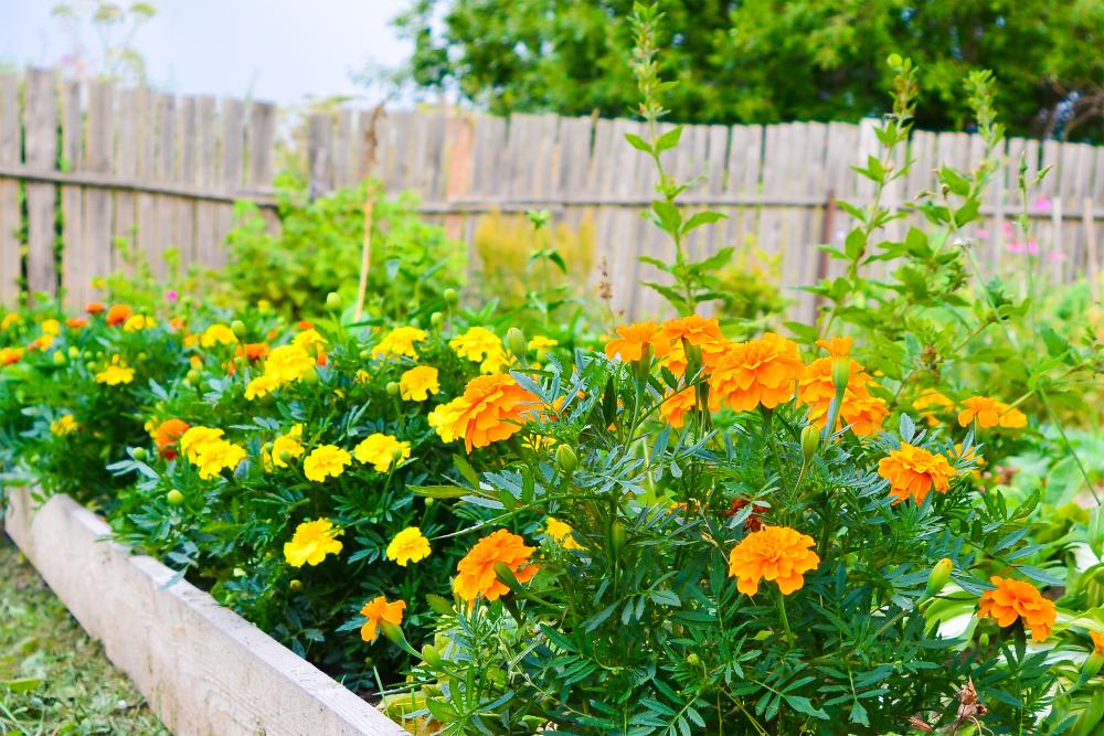 3 slimme tips om jouw tuin gezellig in te richten