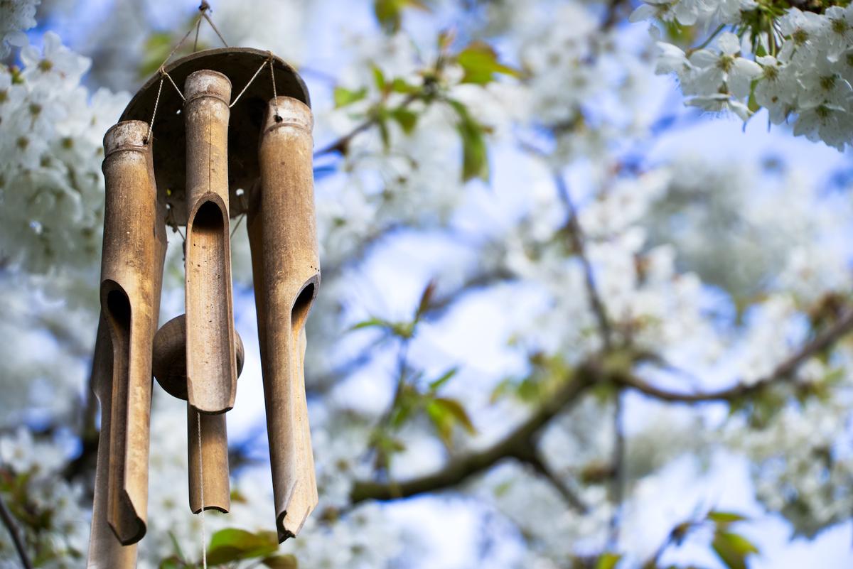 Last van wind in de tuin? Lees deze praktische tips!