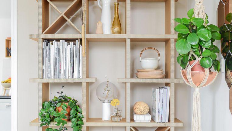 Kartonnen -, maar spannende en betaalbare meubels