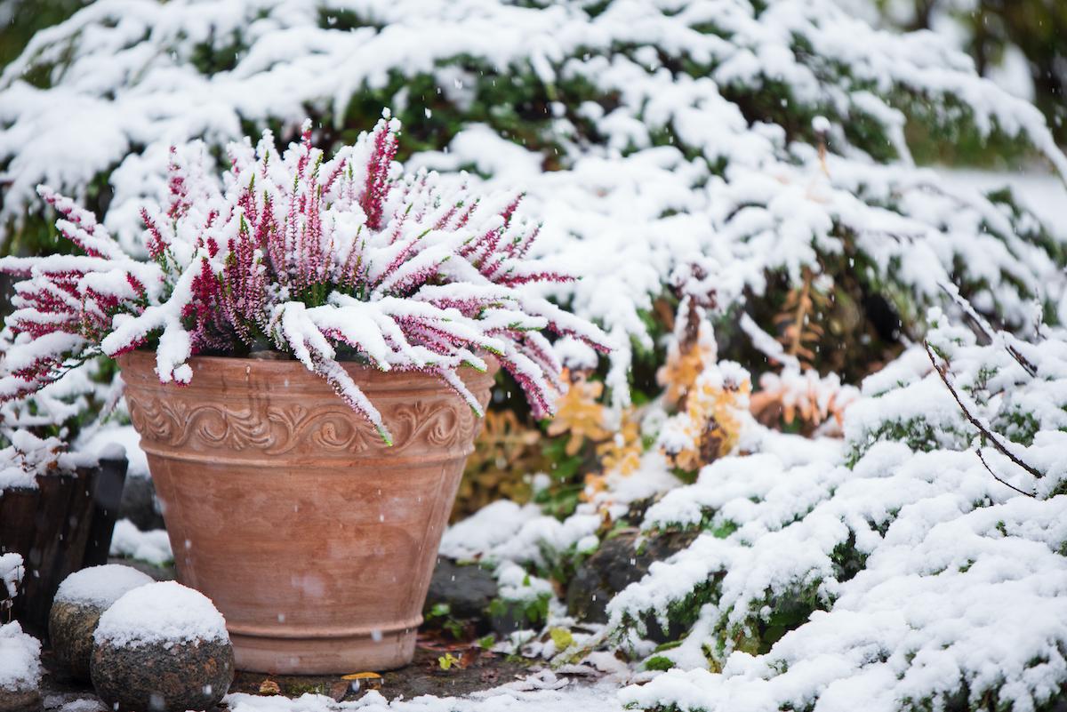 Je tuin onderhouden in de winter: handige tips