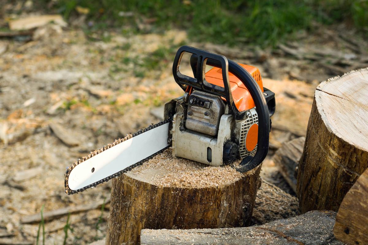 Tips voor het online kopen van een kettingzaag