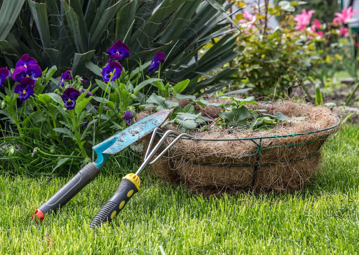 Alles wat je moet weten over tuin onderhoud
