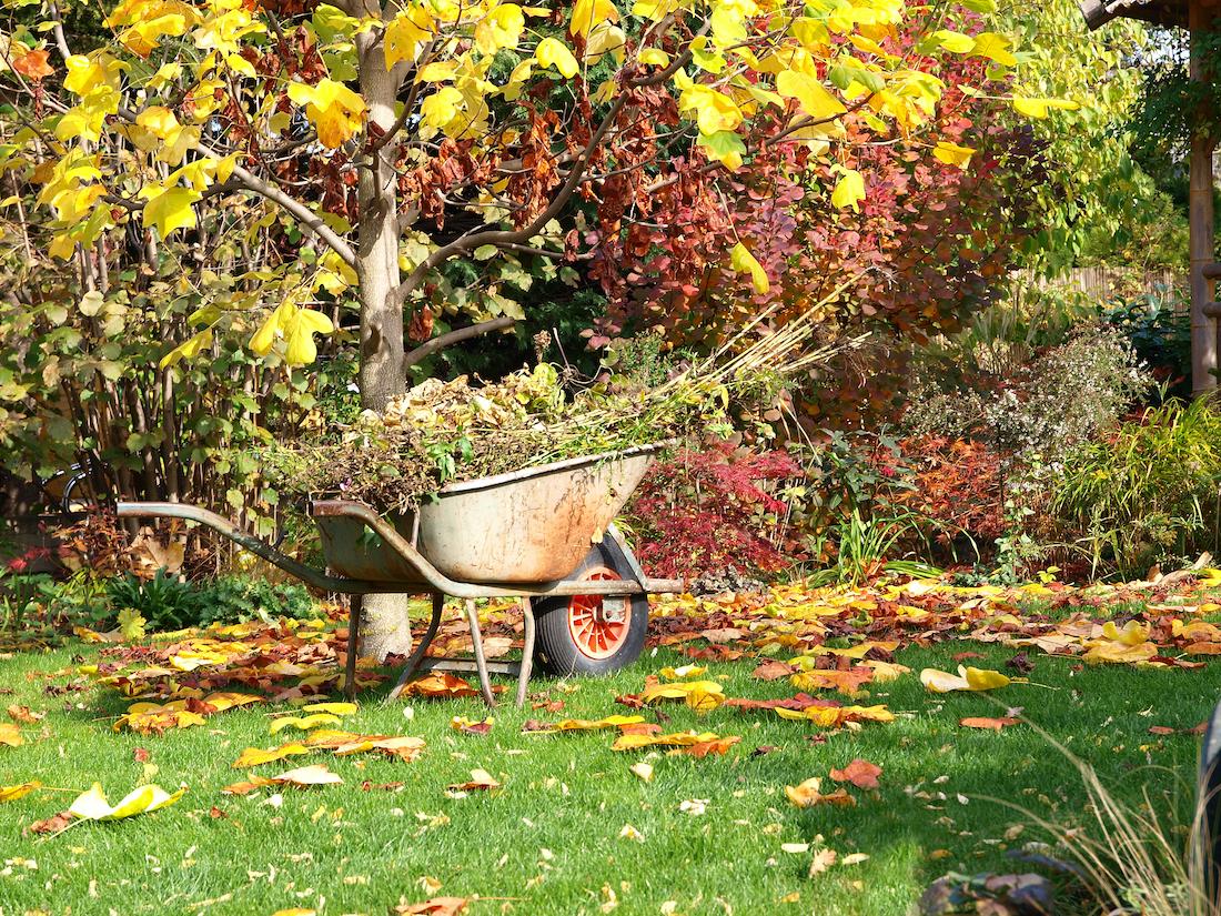 De tuin winterklaar maken doe je zo