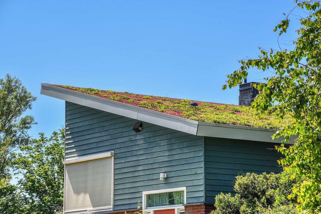 4 manieren voor een betere balans tussen huis en natuur