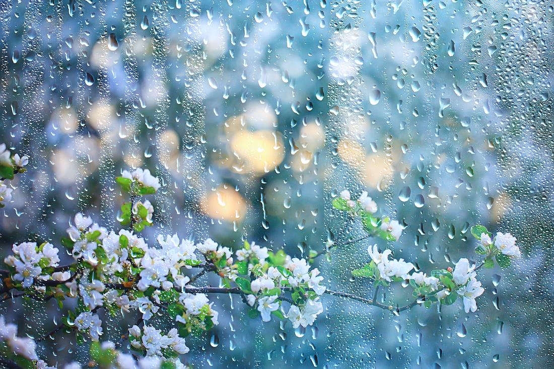 Zomerse regenbui? Blijf droog met deze tips