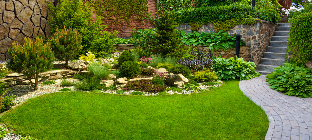 Natuurlijke tuin? 6 tips voor een levendige buitenruimte