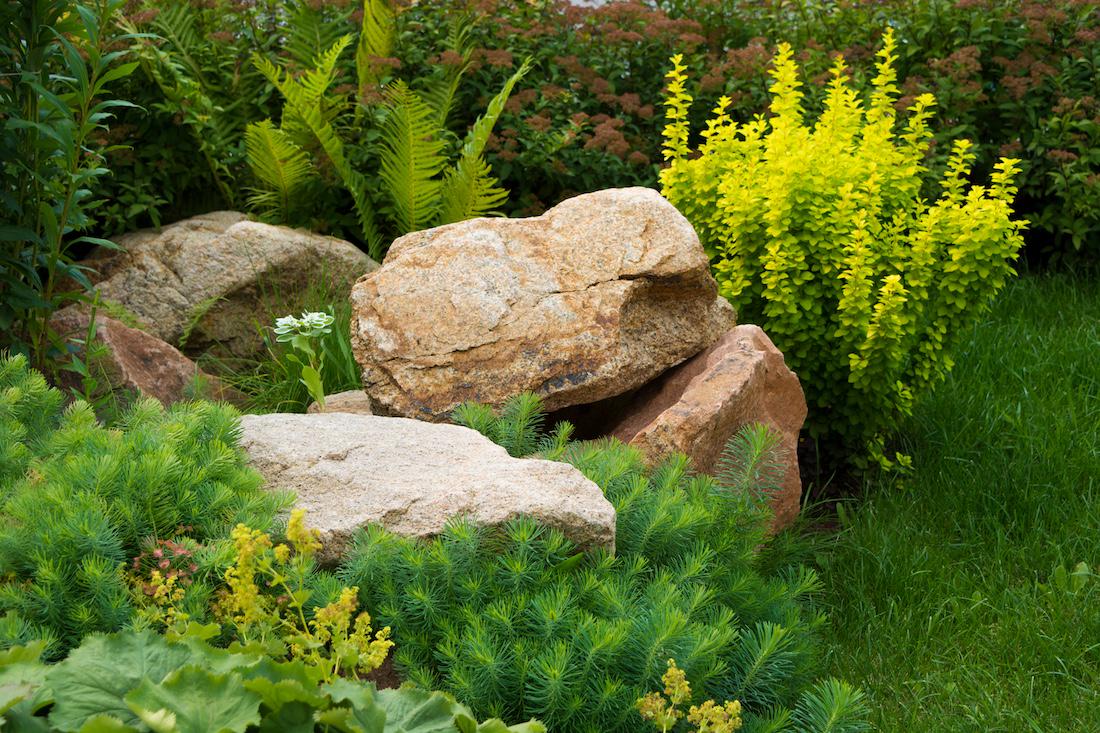 Zwerfkeien: De natuurlijke sieraden voor jouw tuin