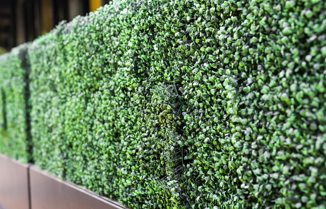 5 manieren om je tuin te vergroenen voor ieder seizoen